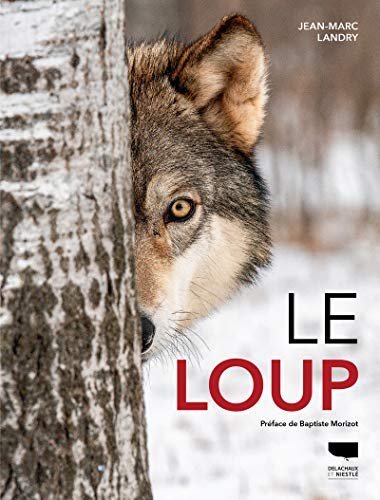 Le loup – Jean-Marc Landry – 2001