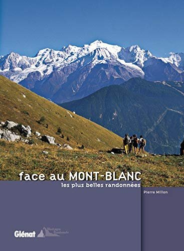 Face au Mont-Blanc – Pierre Millon – 2004