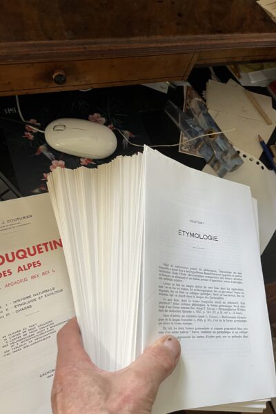 Le Bouquetin des Alpes – COUTURIER Marcel – 1962