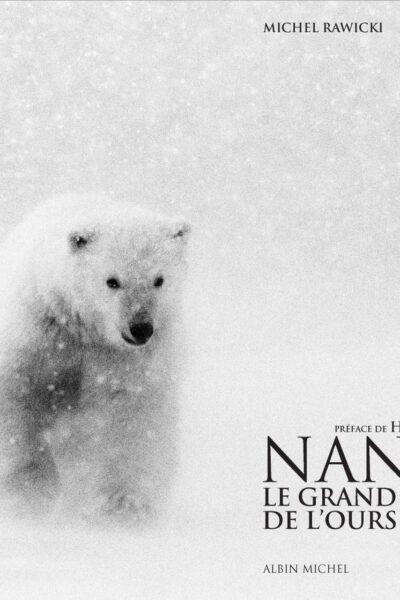 Nanuk: Le grand livre de l’ours polaire – Michel Rawicki – 2019