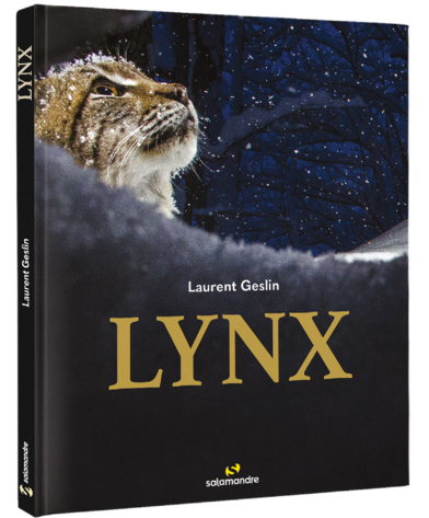 Lynx - Laurent Geslin - 2021