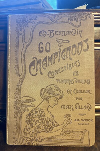 60 champignons comestibles – Ch. Bernardin – sans date