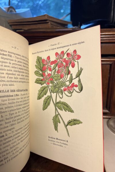 Flore coloriée de poche – Henry Correvon – 1898