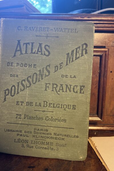 Atlas de poche des poissons de mer de la France et de la Belgique – C. Raveret-Wattel – 1909