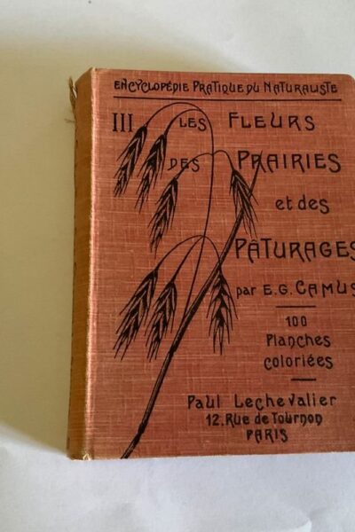 Encyclopédie pratique du naturaliste III : Les fleurs des prairies et des pâturages – E. G. Camus – 1914