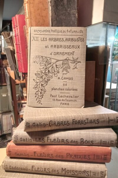 Encyclopédie pratique du naturalisme XII : Les arbres, arbustes et arbrisseaux d&rsquo;ornement – A. Camus – 1923