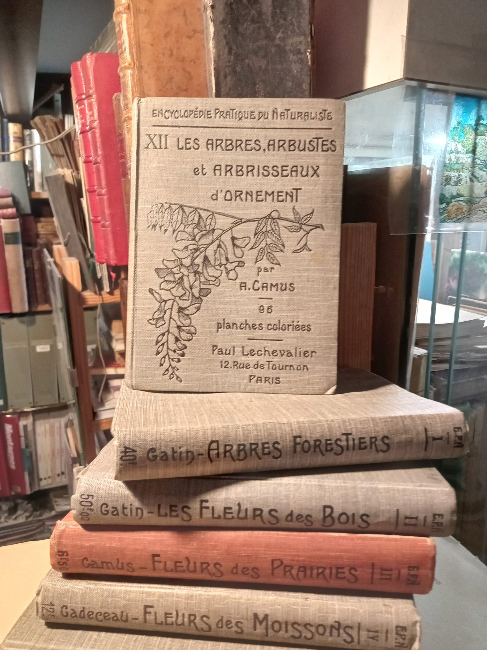 Encyclopédie pratique du naturalisme XII : Les arbres, arbustes et arbrisseaux d'ornement - A. Camus - 1923